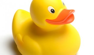 A yellow rubber duck.