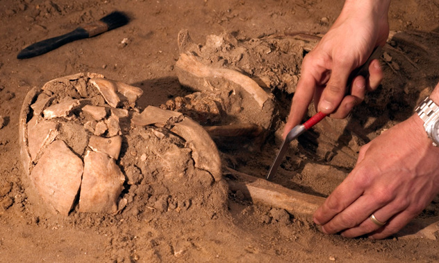 A close-up of an archaeologist's hands using tools to uncover an ancient skeleton buried in dirt.
