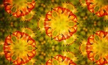 Flowers Seen Through Kaleidoscope