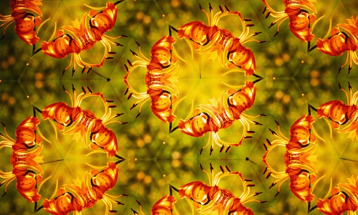 Flowers Seen Through Kaleidoscope