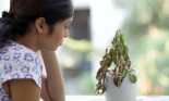 Side profile of a young woman looking at a dried plant