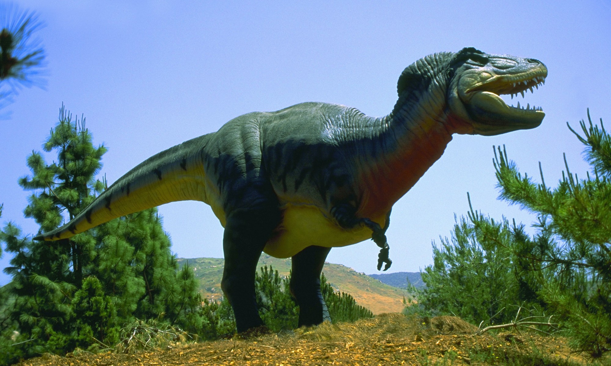 Все известные динозавры и их фото