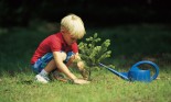 Young boy planting a seedling