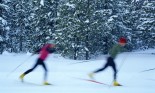 Cross Country Skiiers, Blurred