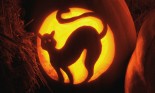 Cat Carved in Jack-O'-Lantern