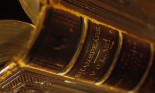 Detail of a spine of an old leather-bound book of Shakespeare