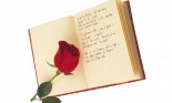 Close up of writing in a journal and a rose