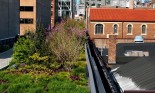 A section of New York City's High Line Park, on the West Side, in Chelsea, built on a former freight rail line