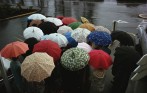 Group of People Standing with Umbrellas