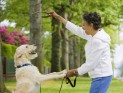 Woman playing with a dog