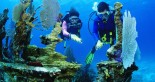 Divers exploring underwater shipwreck
