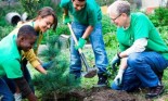 ﻿﻿﻿Volunteers planting a tree together