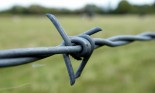 Close up of barbed wire
