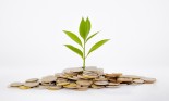 Plant and coins , currency, investment and business concepts