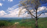 Shenendoah National Park, Virginia