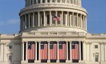 Capital Building draped with US flags, Washington, DC