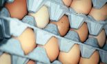 Eggs in crates