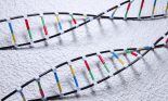 Molecule of DNA (deoxyribonucleic acid), computer artwork