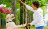 Woman playing with her dog