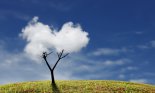 A tree with clouds as foliage on top of a green grassy hill