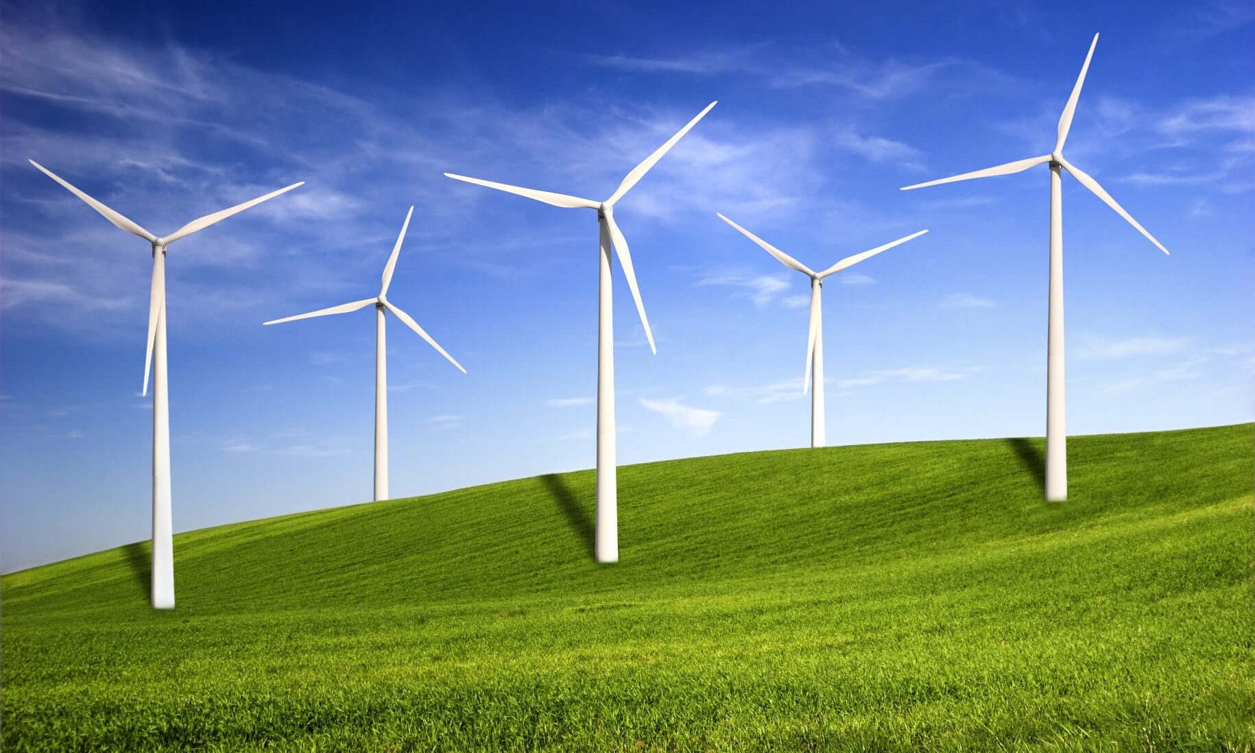 Beautiful green meadow with wind turbines generating electricity