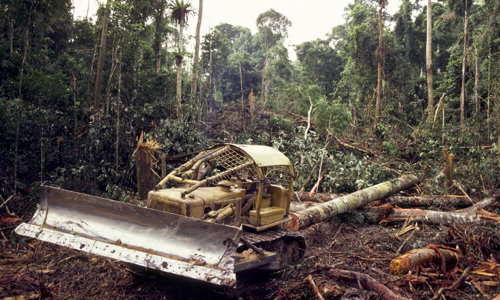 Bulldozer logging in rainforest
