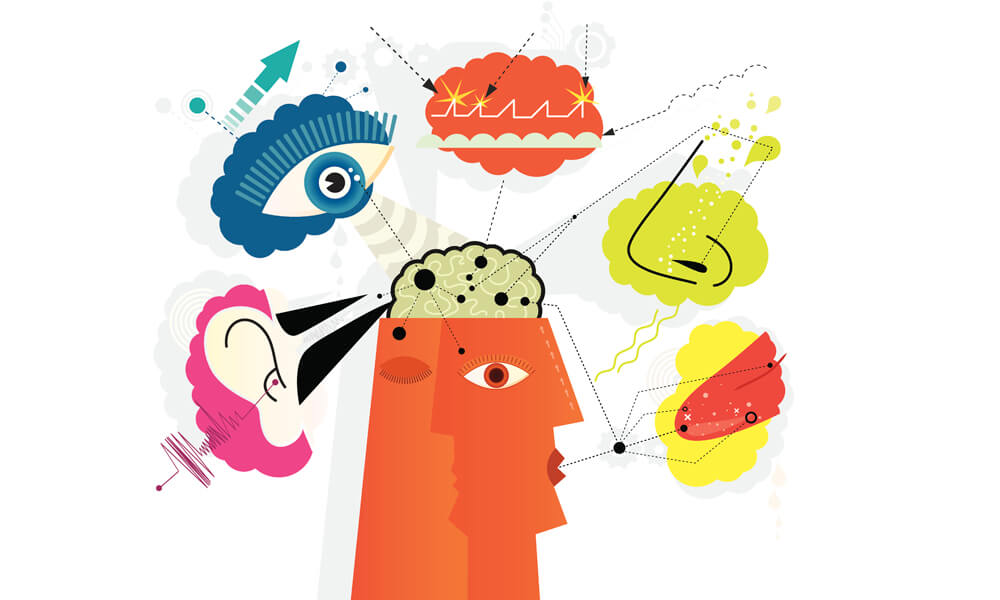 An Illustration of Sensory Perception Showing Five Human Senses