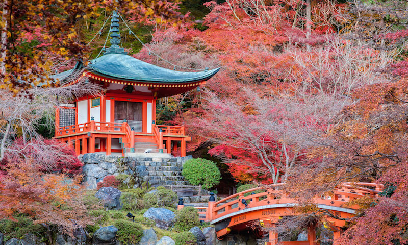 Leaves changing color near a temple in Japan during autumn