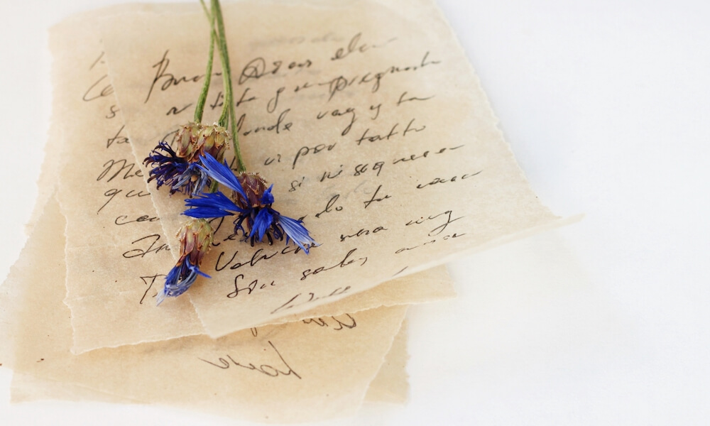 Pile of Love letters handwritten (unrecognizable) text, on beige vintage thin paper, dried blue flowers.