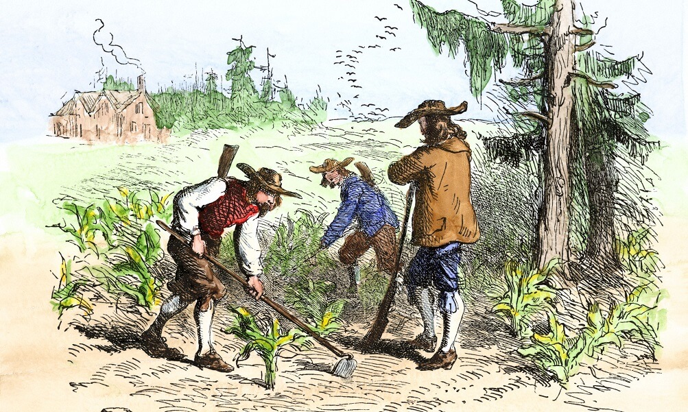 Settlers planting crops in South Carolina during colonial days