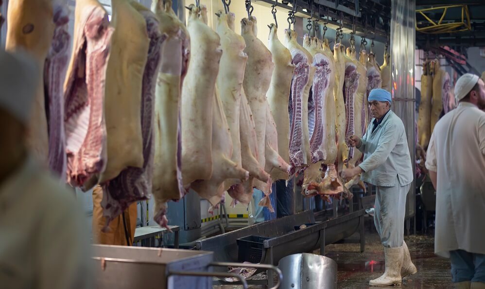 Workers in a slaughterhouse