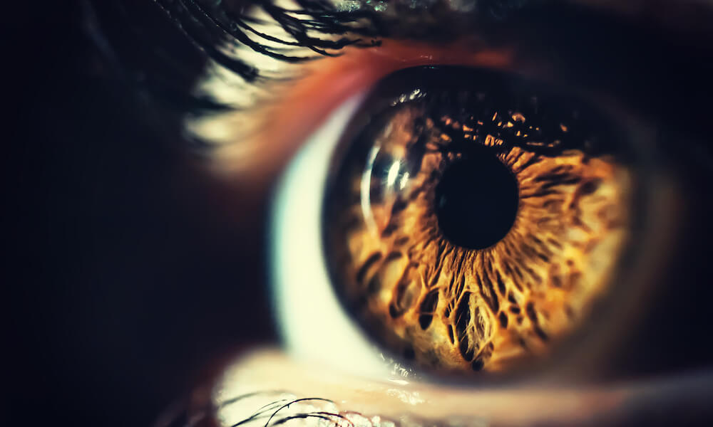 Human eye iris close up. Brown eye brightly lit, macro shot. Vertical composition.