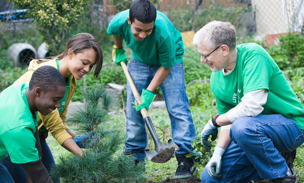 Volunteers planting a tree together