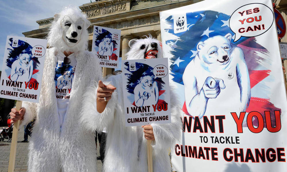Dressed up as polar bears, activists hold signs that say: I want you to tackle climate change