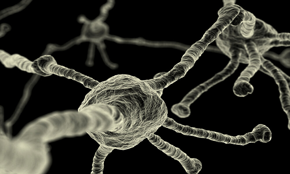 Very tiny neurons.