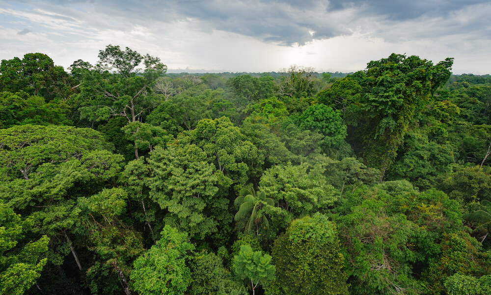 Photo taken in Tambopata, Peru