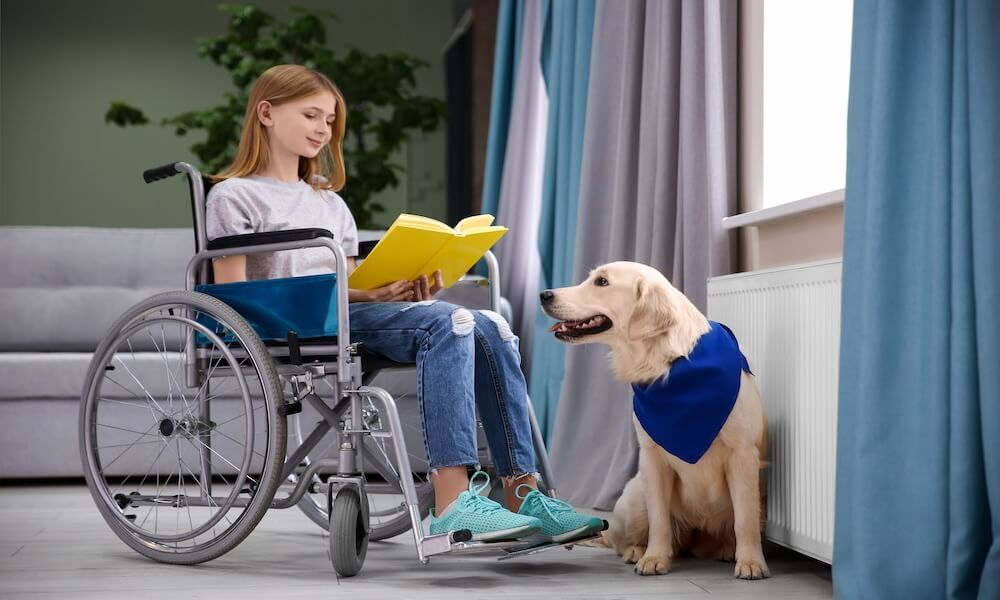 Girl in wheelchair reading book with service dog by her side indoors