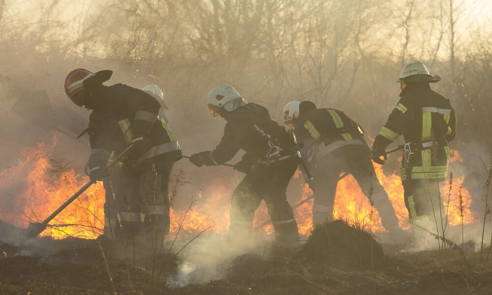 firefighters battle a wildfire in spring