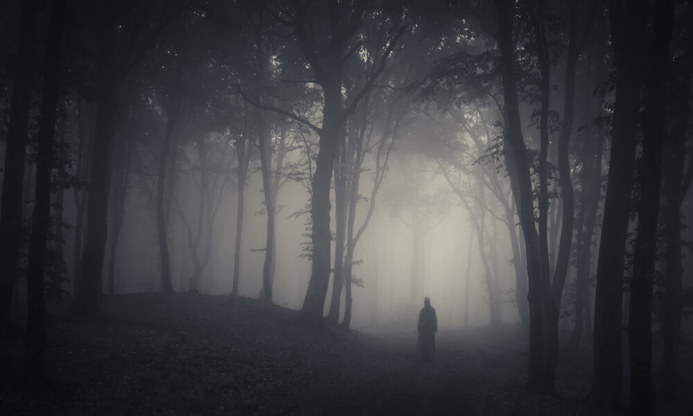 strange silhouette in a dark spooky forest at night
