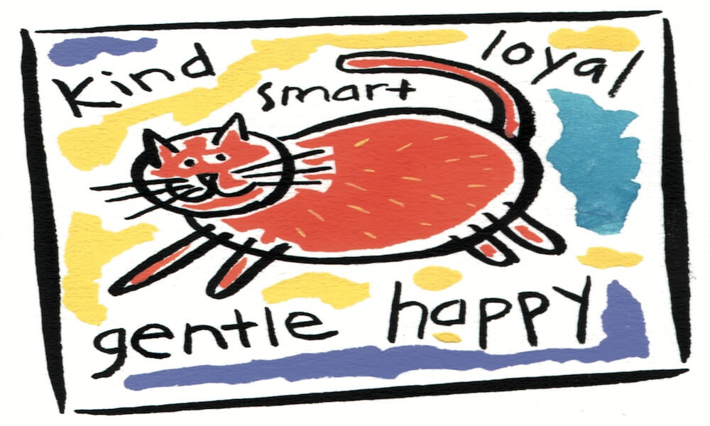 Pet traits
