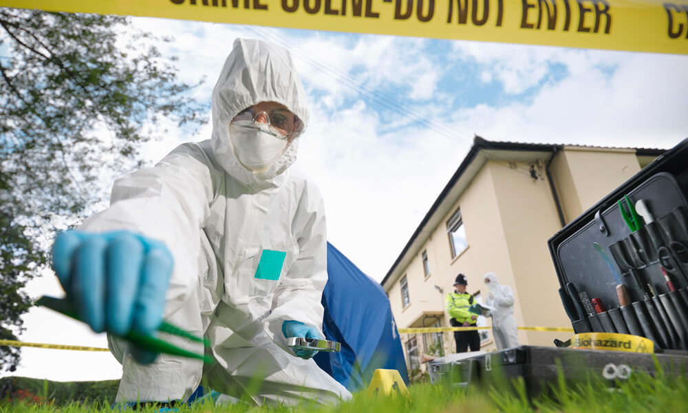 Close up of forensic scientist taking sample at crime scene, surface level view Close up of forensic scientist taking sample at crime scene, surface level view