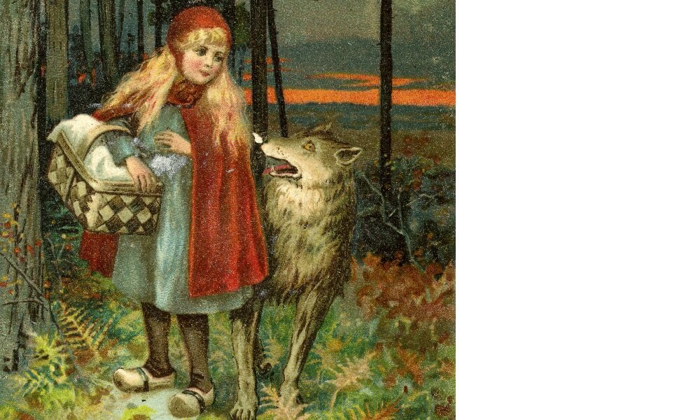 Little Red Riding Hood walking through the forest and meeting the wolf. . Grimm brothers story. German illustration.