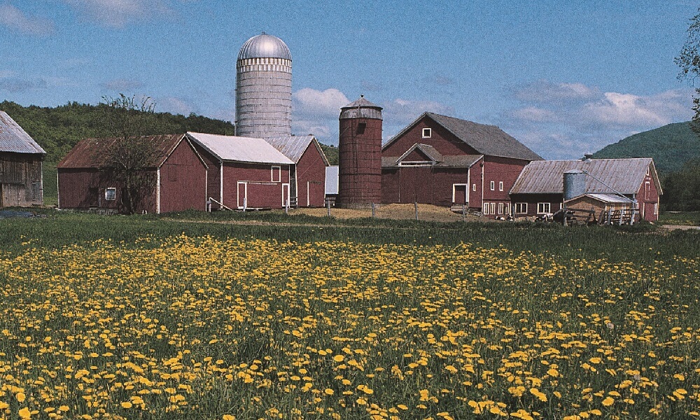 Farm in Canada