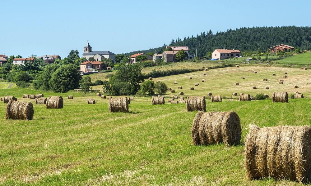 Country landscape in Aveyron (France)