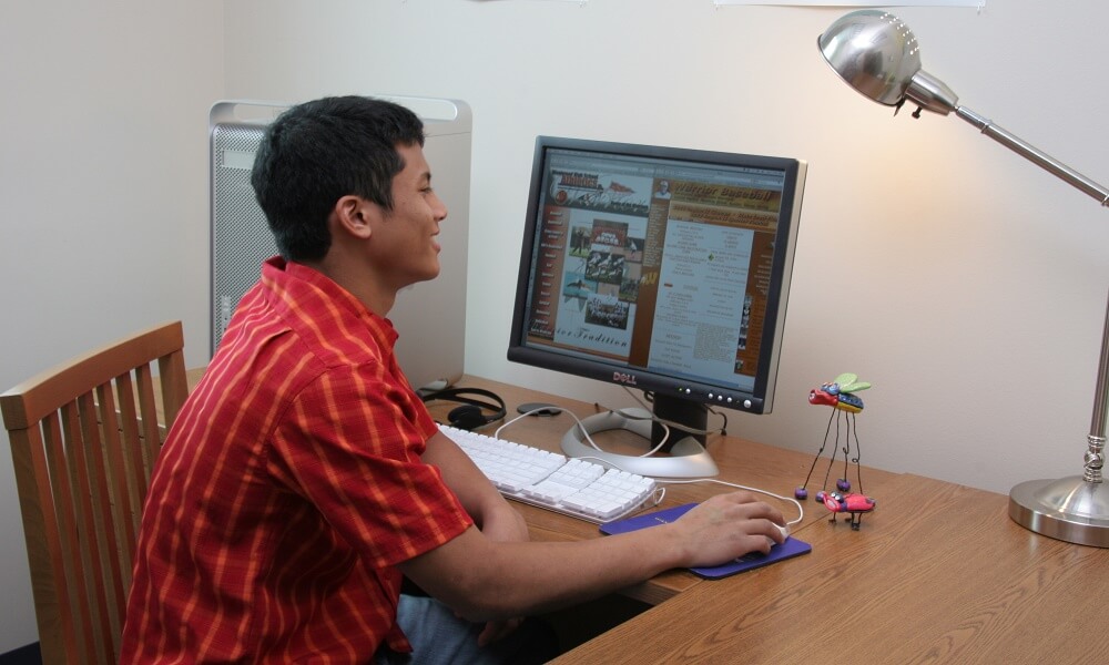 Boy reading newspaper online