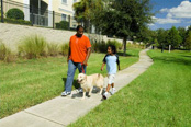 A boy and his father walk a dog along a path in a park. A boy and his father walk a dog along a path in a park.