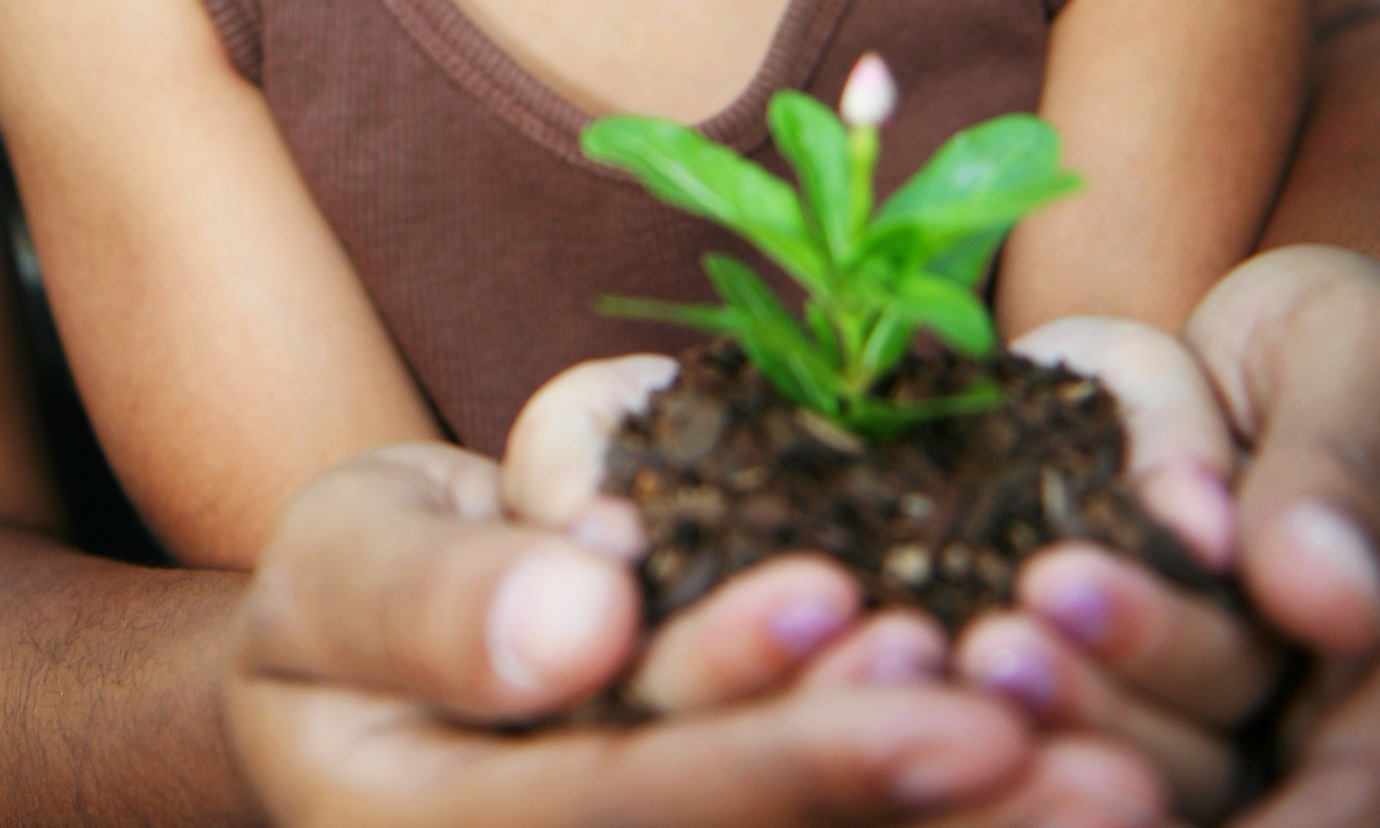 A girl and her mother holding a small flower plant and some soil in their hands.
