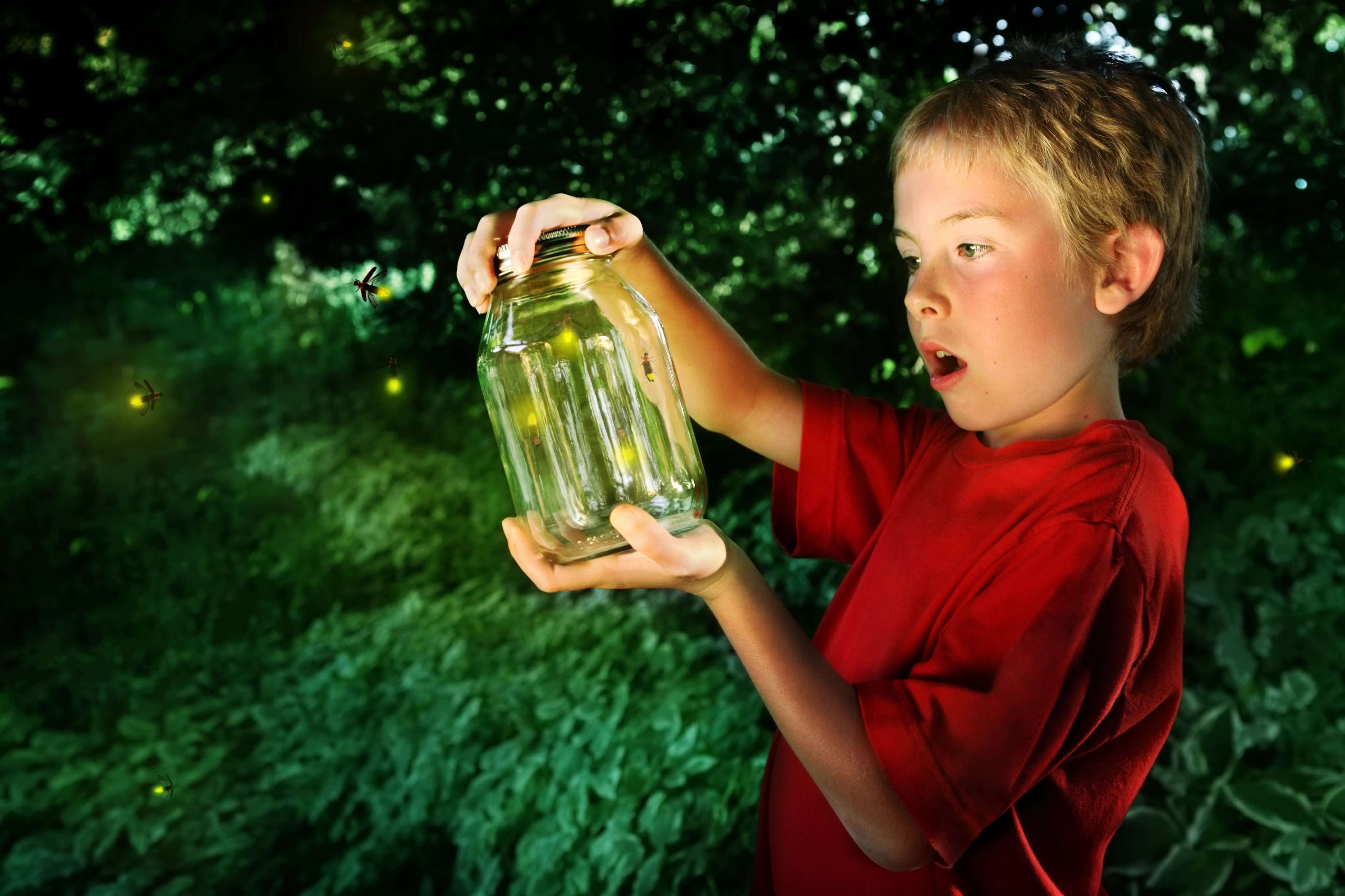A boy holds a jar of fireflies, looking surprised.