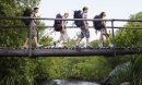 Four teenagers (16-17 years old) backpacking in forest crossing wooden bridge, side view