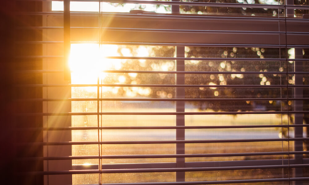 Sunlight Through the Window